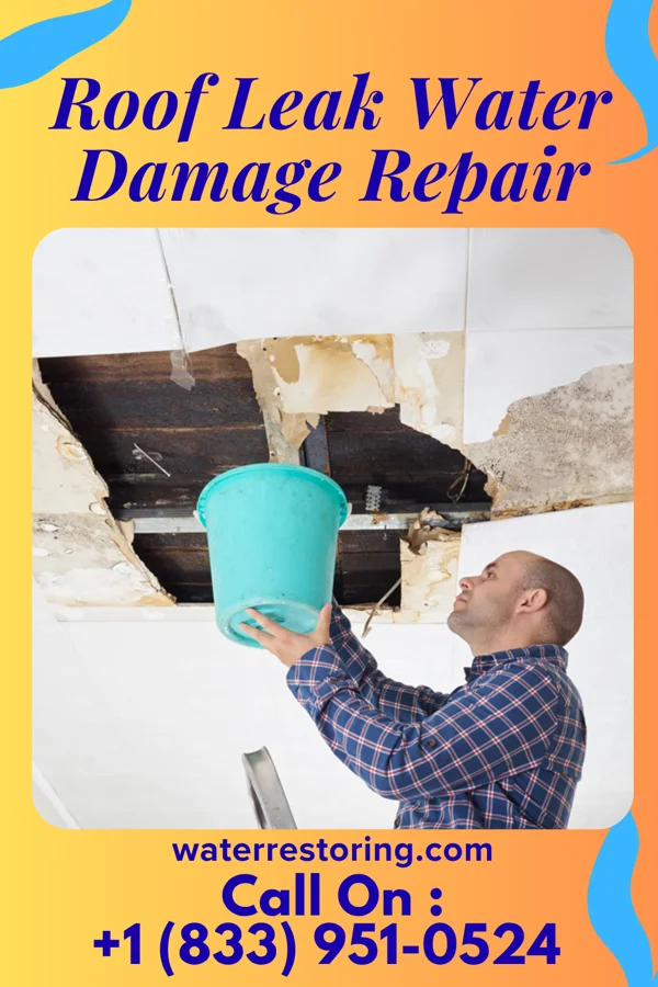 Roof Leak Water Damage Repair in Crosbyton, TX