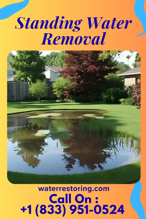 Standing Water Removal in Crosbyton, TX